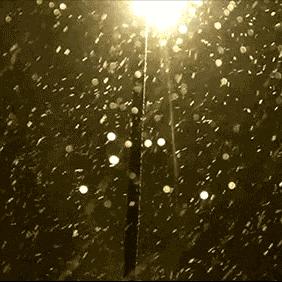 绥化天气预报15天（绥化天气预报15天查询百度）
