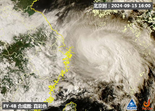 上海台风（上海台风几级）