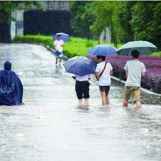 蔚县天气预报（蔚县天气预报15天查询）