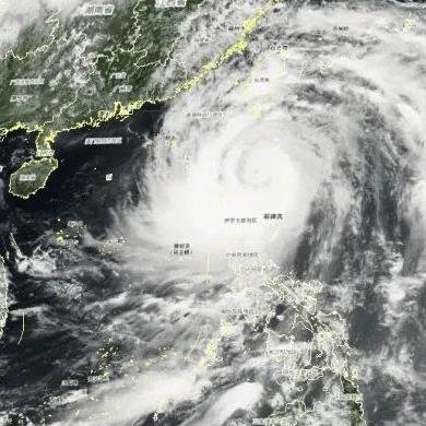 最新台风消息今天（最新台风最新消息）