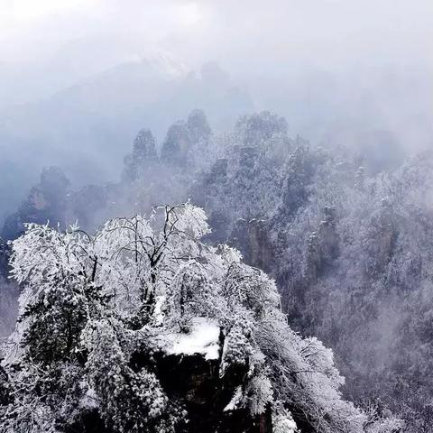 张家界天气预报15天(张家界天气预报15天2345) 张家界天气预报15天(张家界天气预报15天2345)
