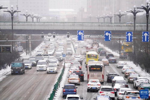 黑龙江暴雪天气最新动态（黑龙江特大暴雪天气）